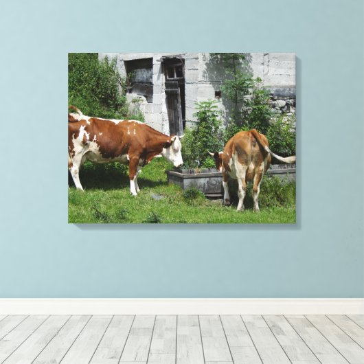 Thirsty Fleckvieh Canvas Afdruk (Insitu (Houten vloer))