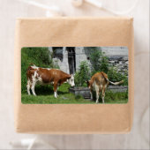 Thirsty Fleckvieh Etiket (Insitu)