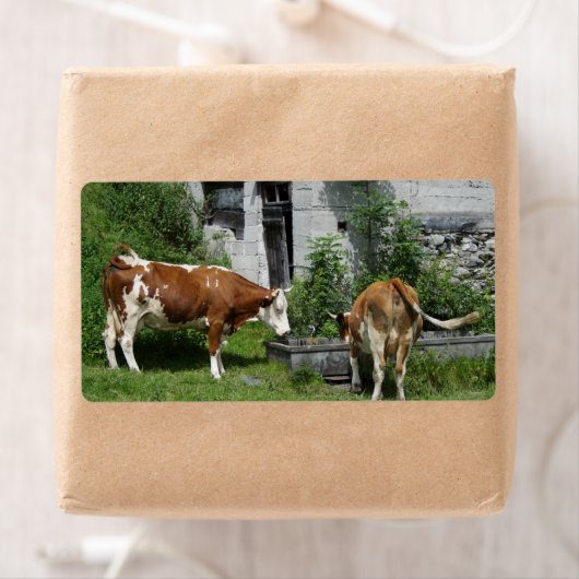 Thirsty Fleckvieh Etiket (Insitu)