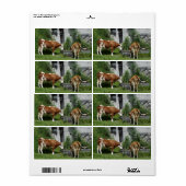 Thirsty Fleckvieh Etiket (Full Sheet)