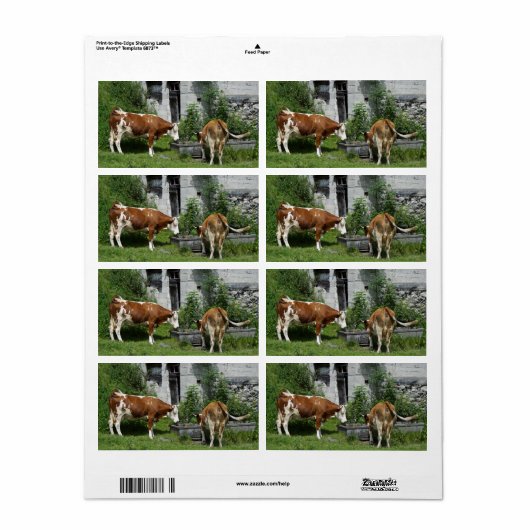 Thirsty Fleckvieh Etiket (Full Sheet)