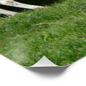 Thirsty Fleckvieh Poster (Hoek)