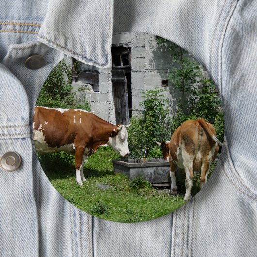 Thirsty Fleckvieh Ronde Button 6,0 Cm (In situ)