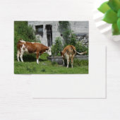 Thirsty Fleckvieh Visitekaartje (Bureau)