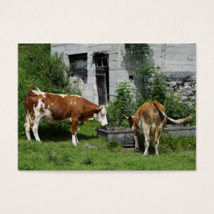 Thirsty Fleckvieh Visitekaartje