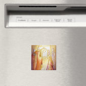 Thirukedi Magneet (Insitu (Vaatwasser))