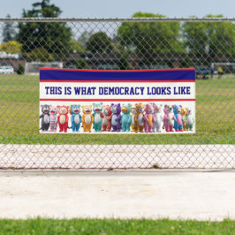 This is What Democracy Looks Like Protest Spandoek