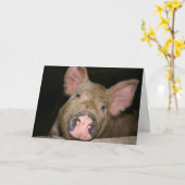 This Little Piggy zegt Beterschap Kaart (Gele Bloem)