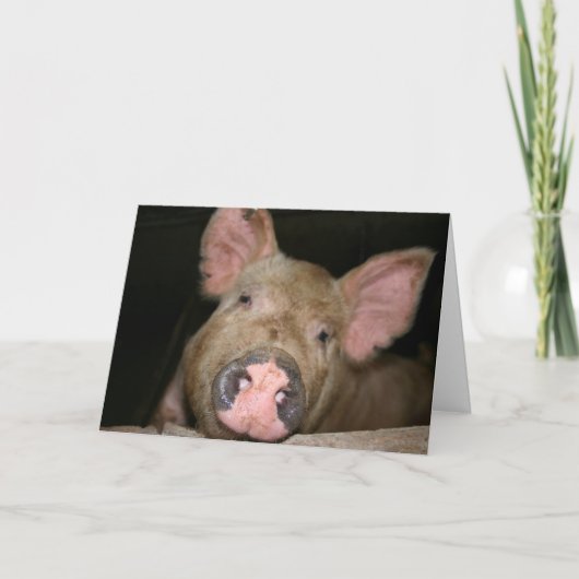 This Little Piggy zegt Beterschap Kaart (Voorkant)