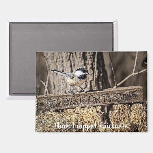 This place is for the birds magnet (Voorkant / Achterkant)