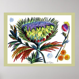 Thistle42 Tekening Poster