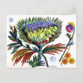 Thistle 42 briefkaart (Voorkant)
