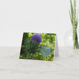 Thistle and Moth Note Kaart