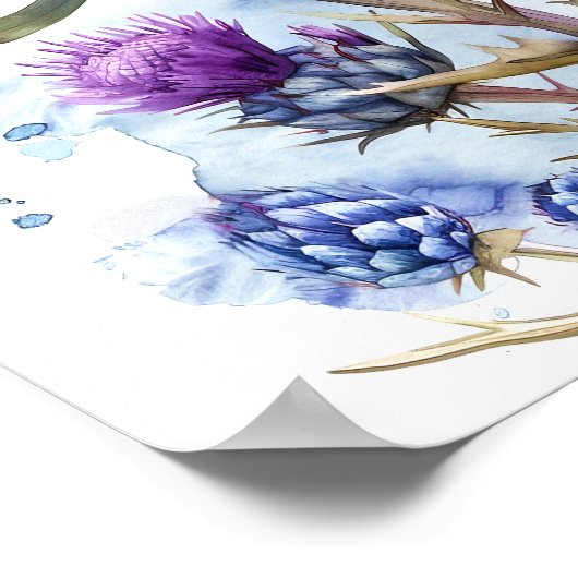 Thistle Art Print, Wildflower Poster (Hoek)