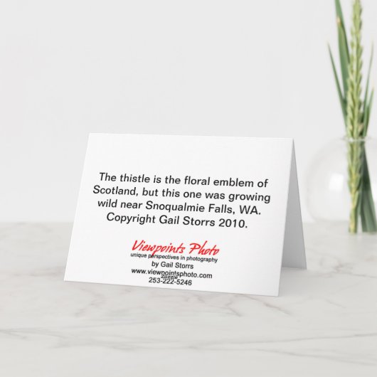 Thistle Birthday Kaart (Achterkant)