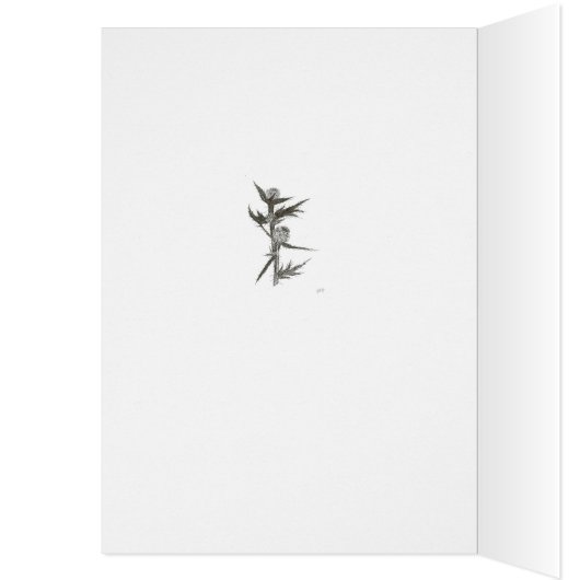 Thistle, blank (Binnen (Links))