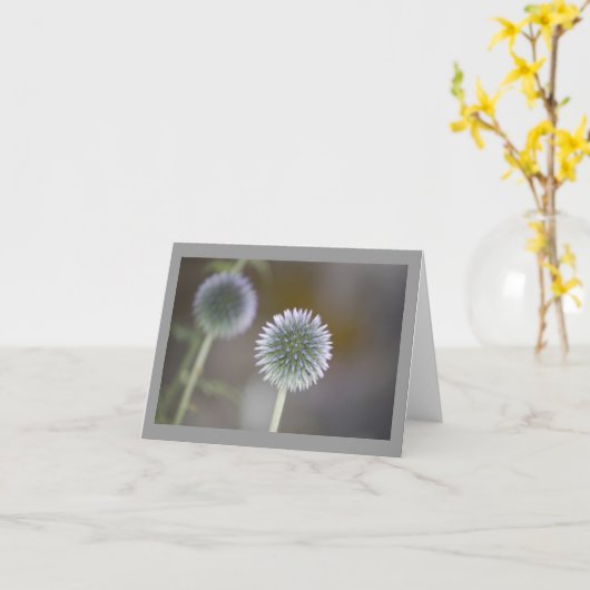 Thistle Blank Note Kaart (Gele Bloem)