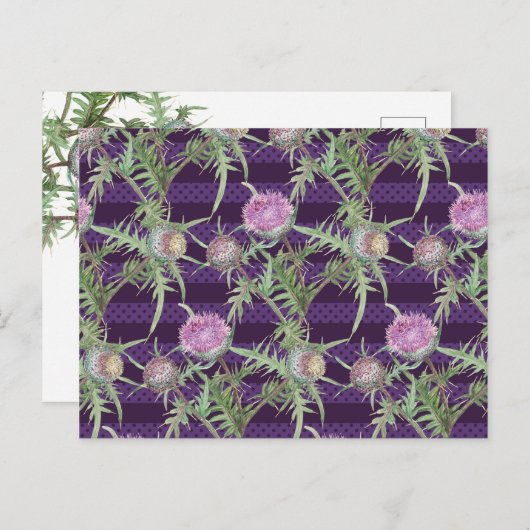Thistle bloemen violet briefkaart (Voorkant / Achterkant)