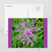 Thistle Blossom Briefkaart (Voorkant / Achterkant)