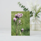 Thistle Briefkaart (Staand voorkant)