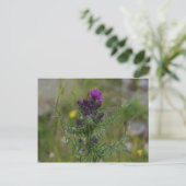 Thistle Briefkaart (Staand voorkant)