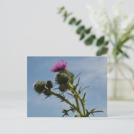 Thistle Briefkaart (Staand voorkant)