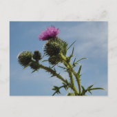 Thistle Briefkaart (Voorkant)