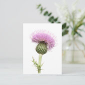 Thistle Briefkaart (Staand voorkant)