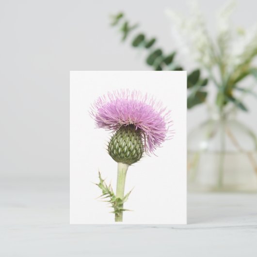 Thistle Briefkaart (Staand voorkant)