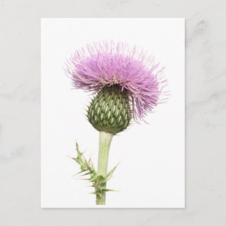 Thistle Briefkaart
