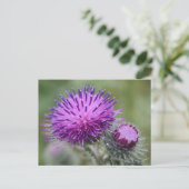 Thistle Briefkaart (Staand voorkant)