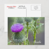 Thistle Briefkaart (Voorkant / Achterkant)