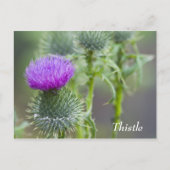 Thistle Briefkaart (Voorkant)