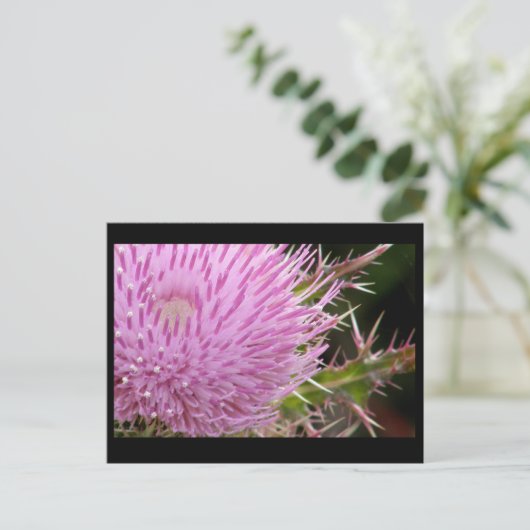 Thistle Briefkaart (Staand voorkant)