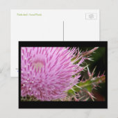 Thistle Briefkaart (Voorkant / Achterkant)