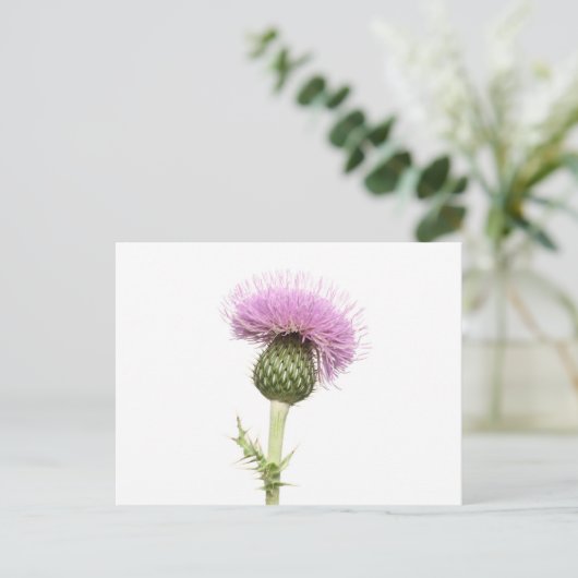Thistle Briefkaart (Staand voorkant)
