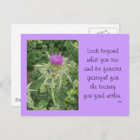 Thistle Briefkaart (Voorkant / Achterkant)