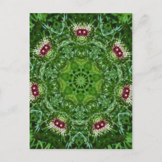 Thistle Buds Briefkaart