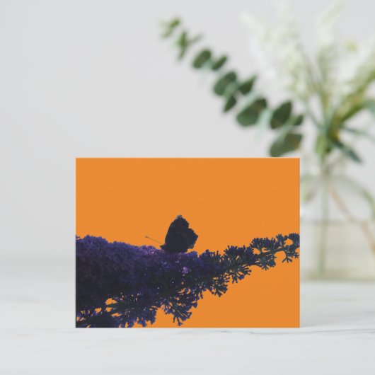 Thistle Butterfly on Butterfly Struik DIY Briefkaa Briefkaart (Staand voorkant)