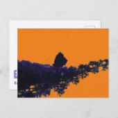 Thistle Butterfly on Butterfly Struik DIY Briefkaa Briefkaart (Voorkant / Achterkant)