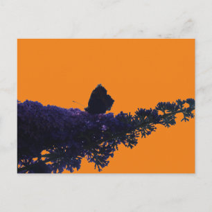 Thistle Butterfly on Butterfly Struik DIY Briefkaa Briefkaart