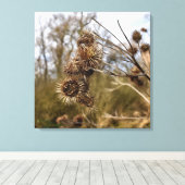 Thistle Canvas Afdruk (Insitu (Houten vloer))