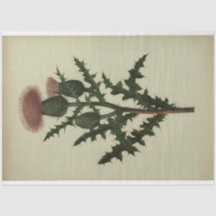 Thistle Decoupage Paper