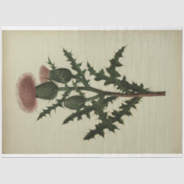 Thistle Decoupage Paper Tissuepapier