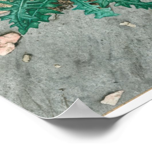 Thistle en chips poster (Hoek)