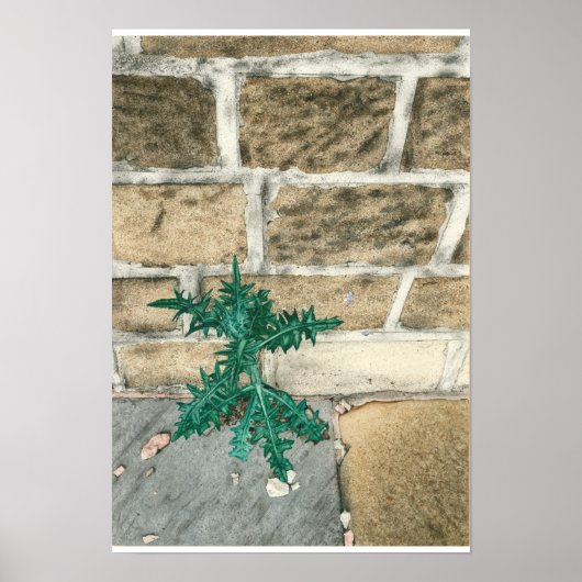 Thistle en chips poster (Voorkant)