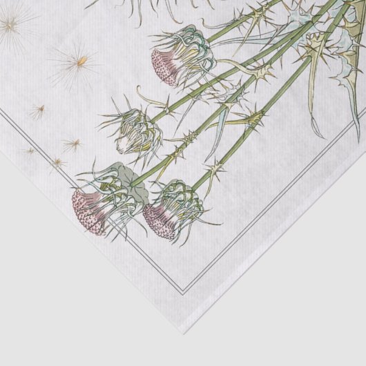 Thistle, Eugene Grasset's Botany-serie Tissuepapier (Detail)