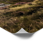 Thistle Falcon Highland Sky Poster (Hoek)