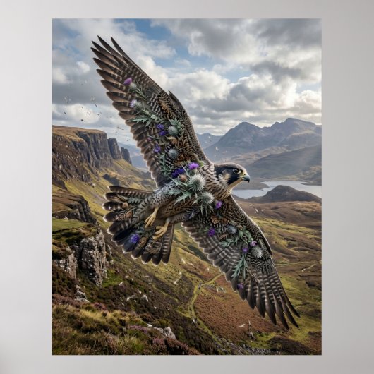 Thistle Falcon Highland Sky Poster (Voorkant)