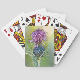 Thistle Flower Kaart